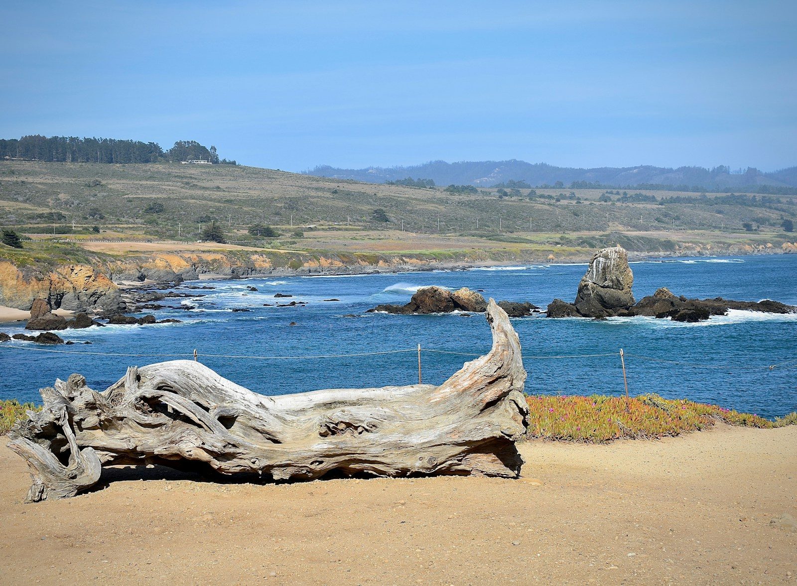 Scenic San Mateo County coastline with driftwood and ocean views